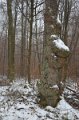 Wandertag 2017 - 048
